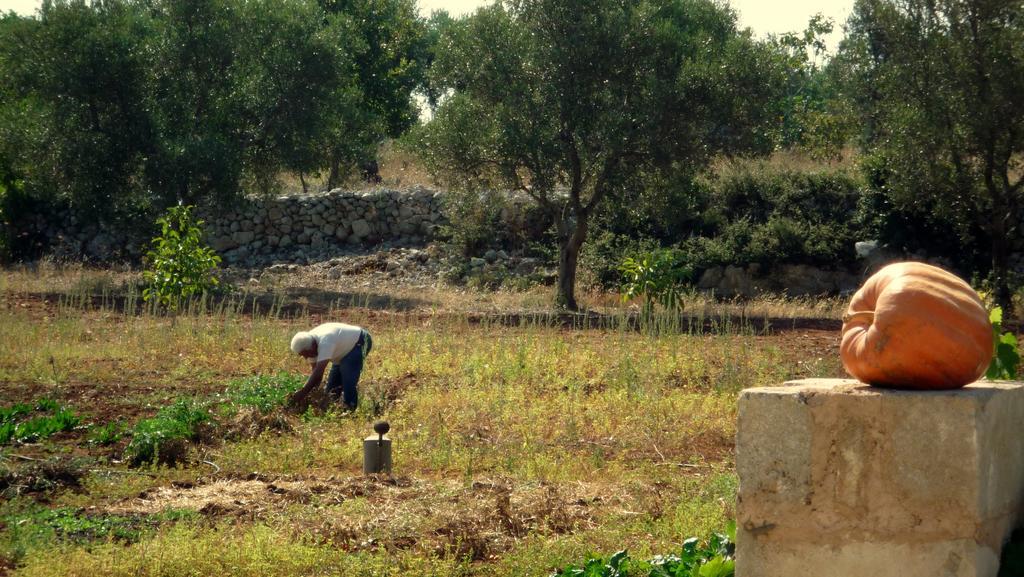 Masseria Uccio Tricase Εξωτερικό φωτογραφία